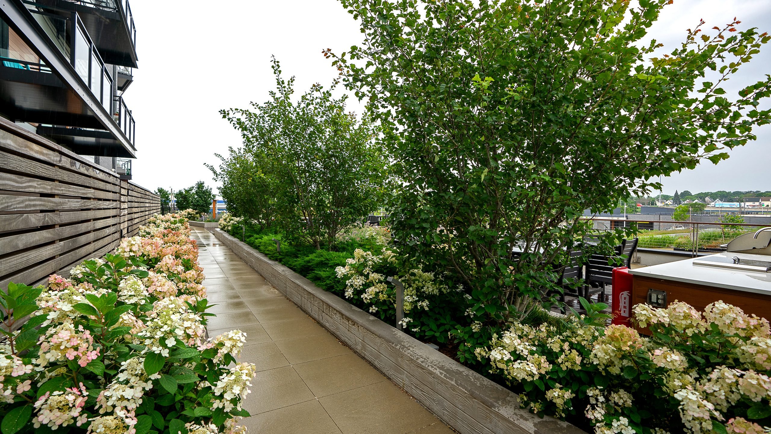 Amenity deck planting with seasonal color and native species at R1ver apartments